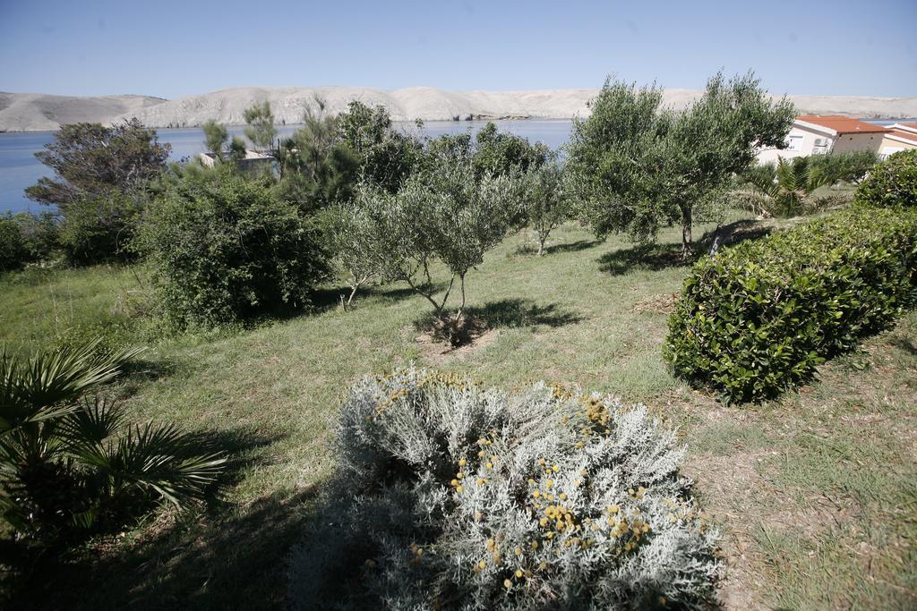 Apartments Roza Miskovici ภายนอก รูปภาพ